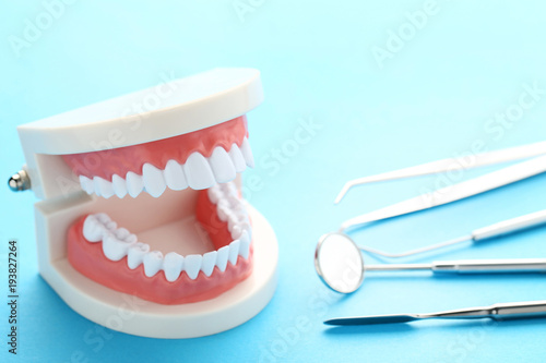 Teeth model with dental tools on blue background