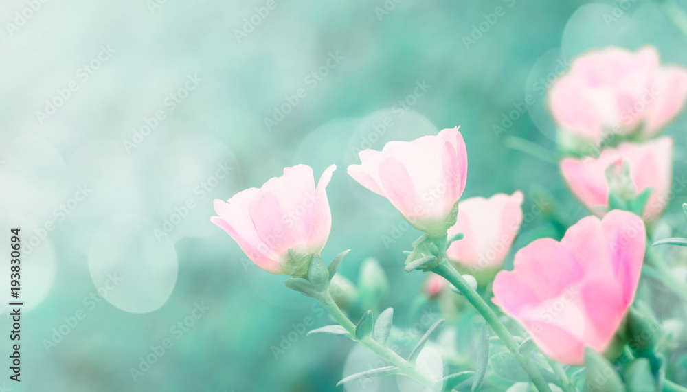 Romantic vintage tiny pink flowers with shiny light and flare green backdrop.