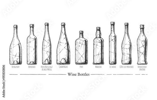 Types of Wine Bottles