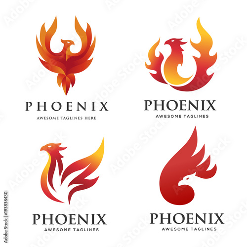luxury phoenix logo concept, best phoenix bird logo design, phoenix vector logo,creative logo of mythological bird , a unique bird , a flame born from ashes