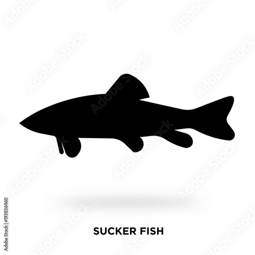 sucker fish silhouette
