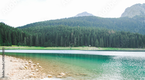 Skadar lake montenegro forest mountain