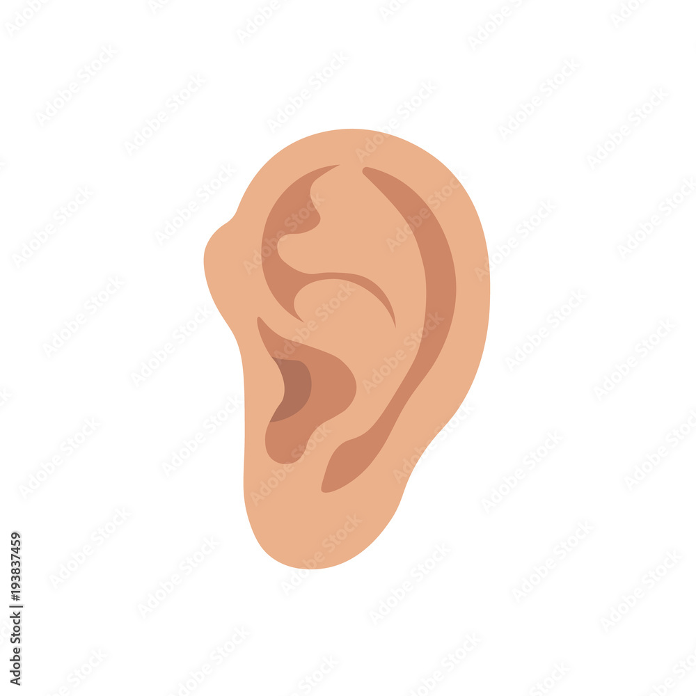 Ear.Vector. Flat design. Ear.Vector. Flat design.