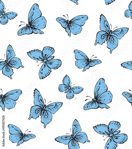 Butterfly. Vector drawing © Marina