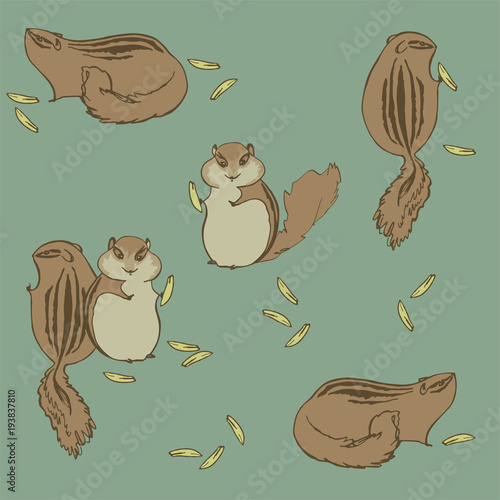 Funny and plump chipmunks. Striped proteins
