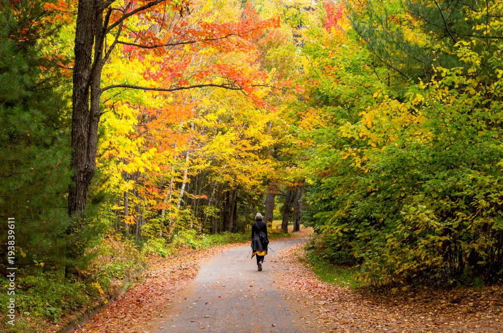 Women Walking Path in Autumn Forest