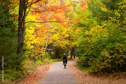 Women Walking Path in Autumn Forest © leene50