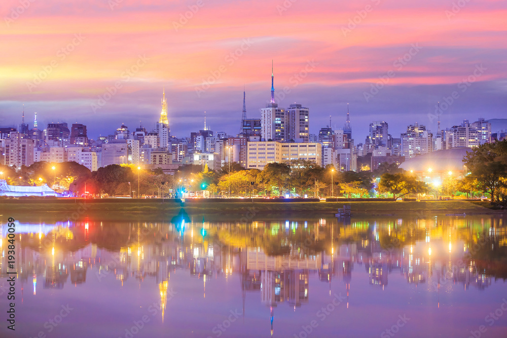 Fototapeta premium Sao Paulo skyline from Parque Ibirapuera park