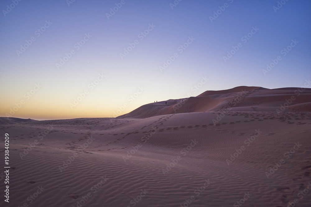 Uae desert