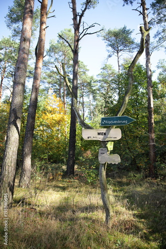 Naturlehrpfad in der Dübener Heide, Nordsachsen photo