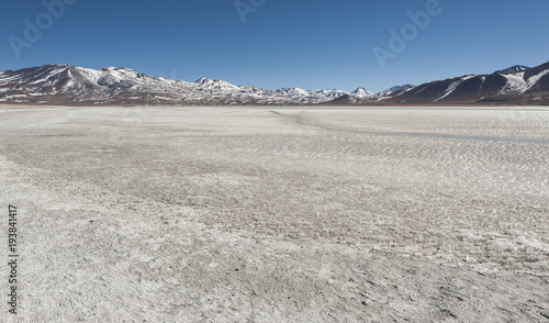 Laguna Blanca  White lagoon  and Licancabur volcano  Bolivia. Beautiful bolivian panorama.