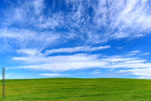 green grass and blue sky, nature background