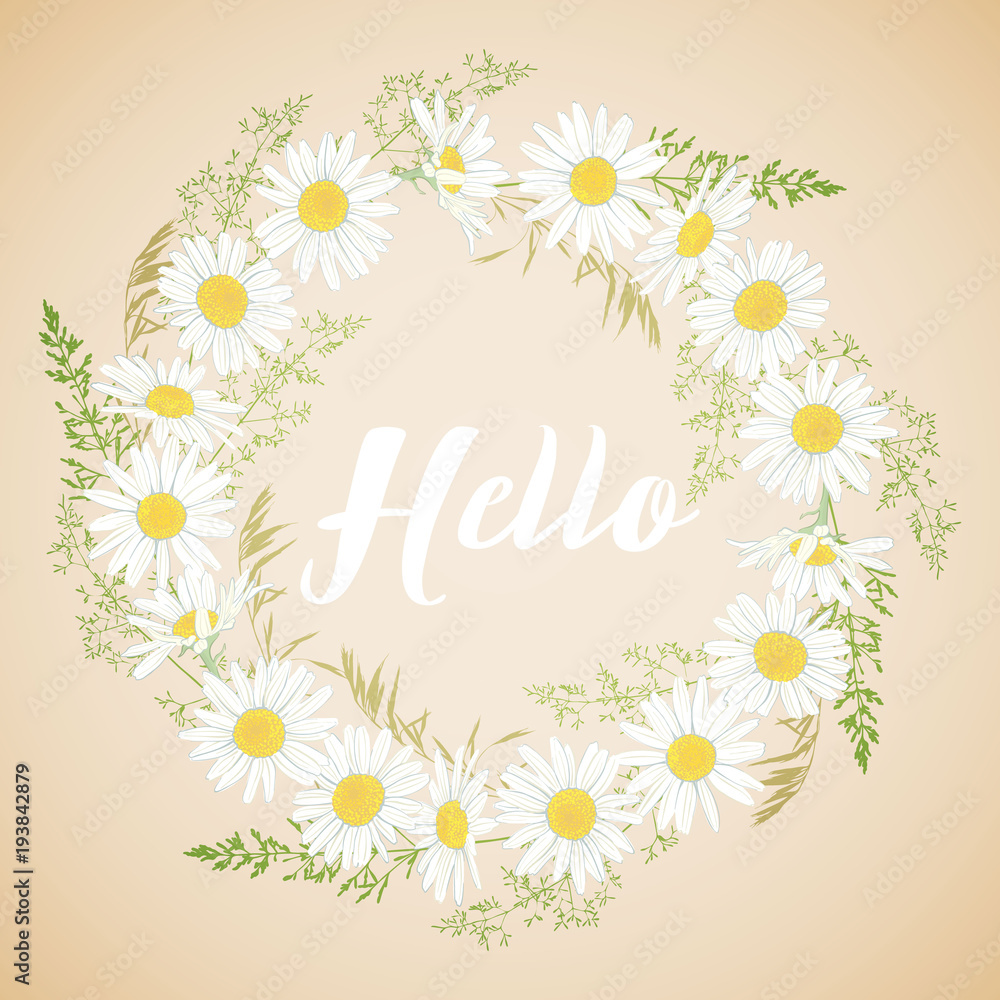 Cute card with Chamomile flowers wreath.