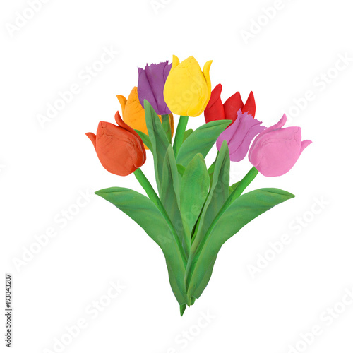 Easter Spring   tulips  isolated on white background  