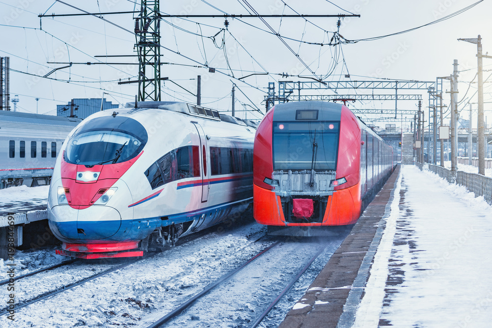 Two modern high-speed trains.