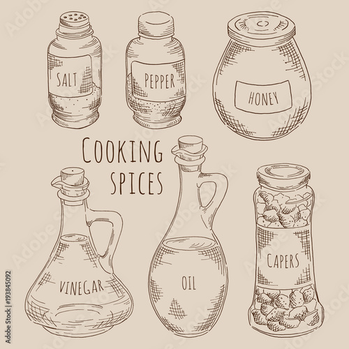 Coking spices set vintage sketch stylized in vector EPS8 for cookbook, recipe or menu design