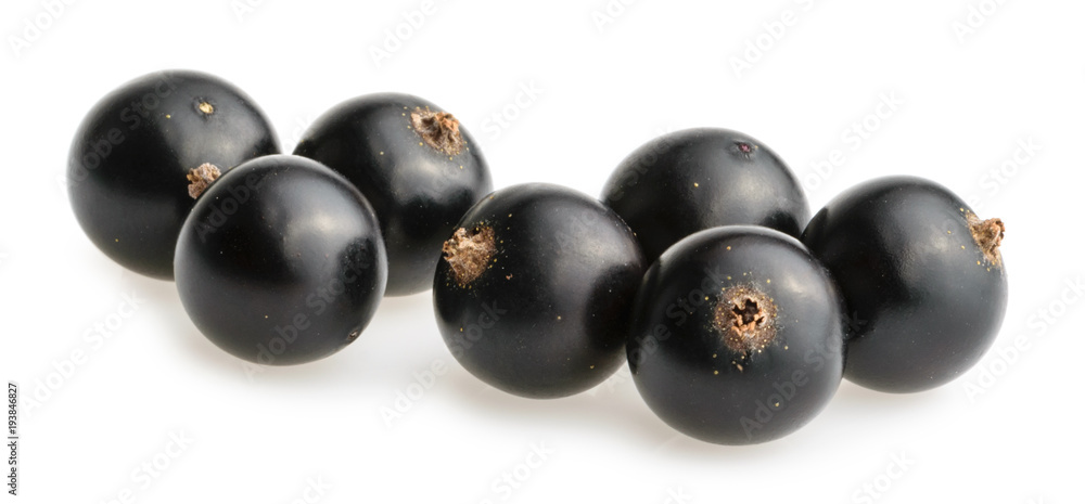 Black currant isolated on white background