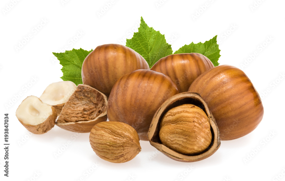 Hazelnuts isolated on white background Hazelnuts isolated on white background