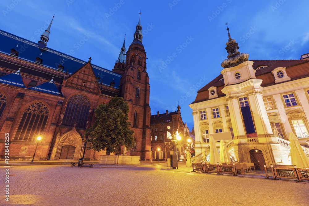 Obraz premium Cathedral of Saints Peter and Paul and old Town Hall in Legnica