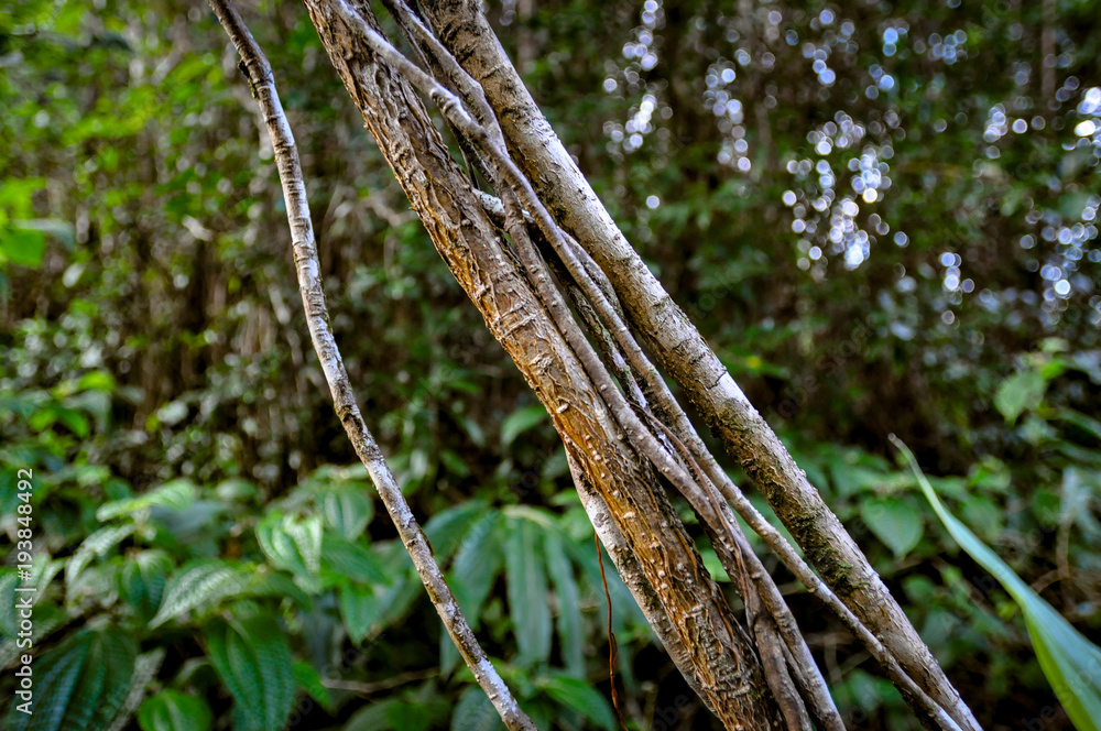 Hana, Maui, Hawaii Hana, Maui, Hawaii