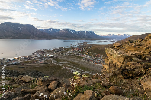 Longyearbyen and the Advent fjord seen from Platafjellet, the Plata mountain, in Svalbard. Papavers and other flowers in the rocky foreground photo