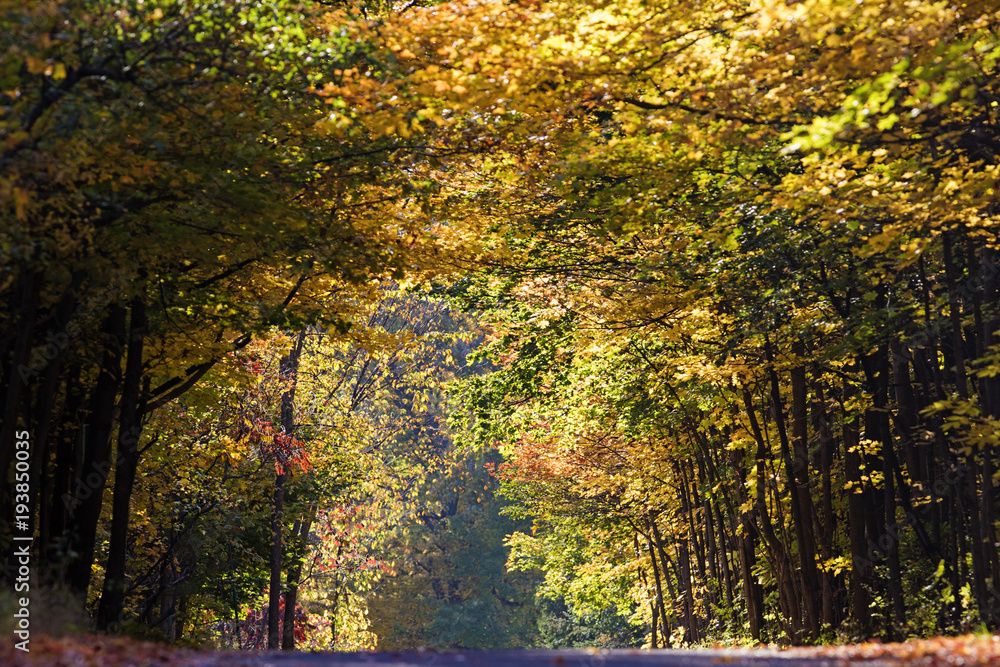 Fall colors in Quebec, Canada Fall colors in Quebec, Canada