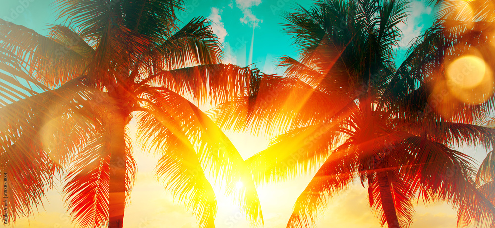 Fototapeta Tropikalny drzewko palmowe nad zmierzchu niebem. Palmy i piękne niebo w tle. Turystyka, tło wakacje koncepcja. Palmy sylwetki na pomarańczowym słońcu