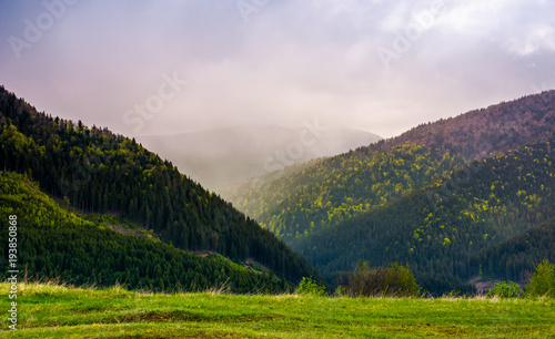 mountains on a cloudy springtime day. beautiful nature scenery with forested hills