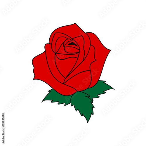 Fototapeta Naklejka Na Ścianę i Meble -  Red rose. Vector graphic illustration.