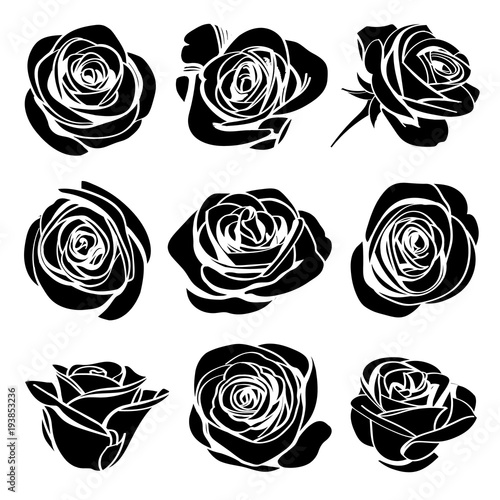 Roses hand drawn set. Black silhouettes rose flowers inflorescence with white lines isolated on white background. Icon collection. Vector doodle illustration
