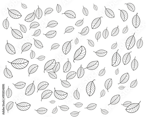 leaves pattern abstract background