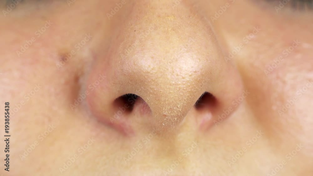 Изображение носа. Нос картинка. Нос картинка. Нос стоковые фото. Нос ее и.