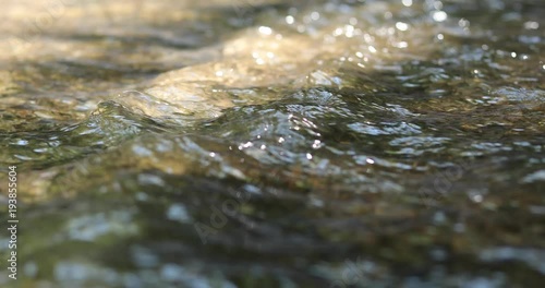 Wallpaper Mural stream of river water in nature, close-up Torontodigital.ca