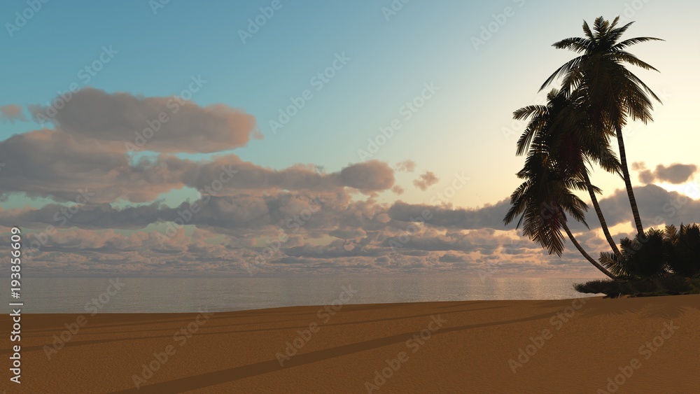 Three palms on the beach