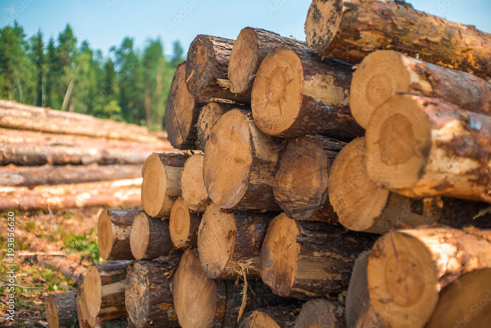 Stack of wood Stack of wood