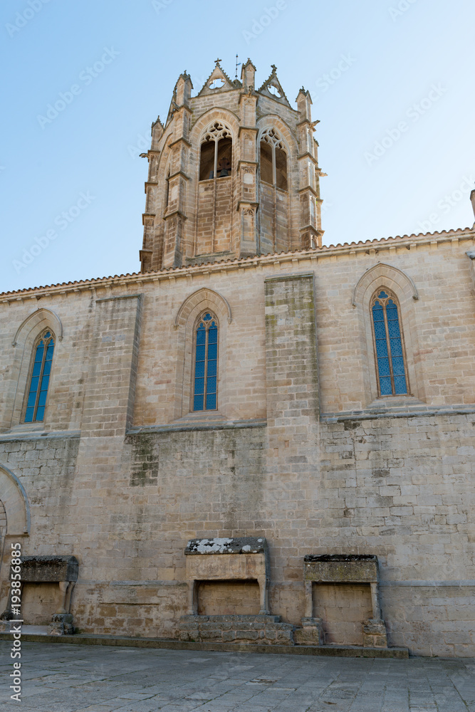 Fototapeta premium Monastery of Vallbona de les Monges (Lerida)