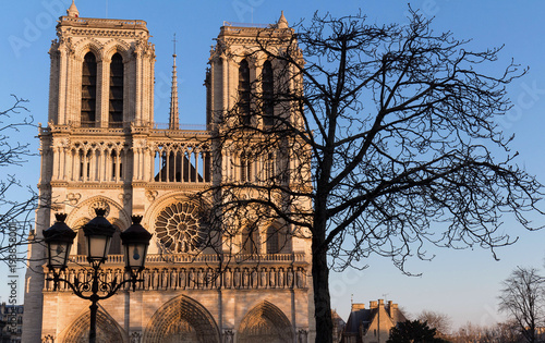 The Notre Dame Cathedral at sunny day , Paris, France. photo