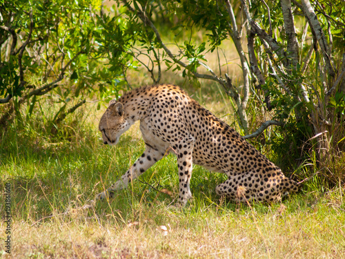 Kenya, Africa. Landscapes, Wildlife and Safari