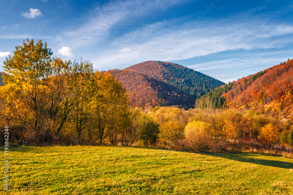 Landscape in autumn colors, Slovakia, Europe.