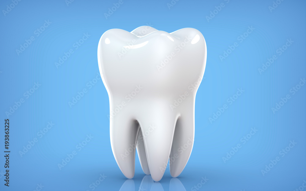 Dental model of premolar tooth, 3d rendering on blue backgroun. 3d illustration as a concept of dental examination teeth, dental health and hygiene Dental model of premolar tooth, 3d rendering on blue backgroun. 3d illustration as a concept of dental examination teeth, dental health and hygiene