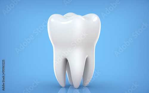 Dental model of premolar tooth, 3d rendering on blue backgroun. 3d illustration as a concept of dental examination teeth, dental health and hygiene