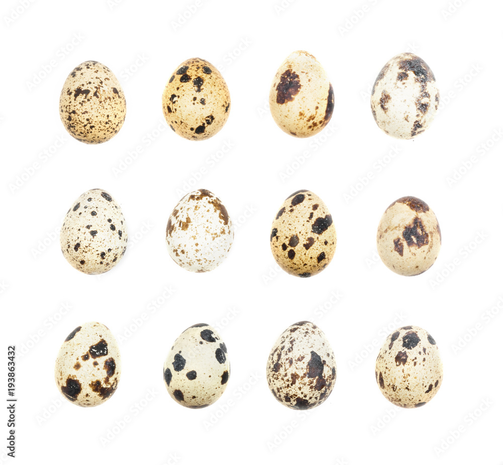 Quail Eggs Isolated on White Quail Eggs Isolated on White