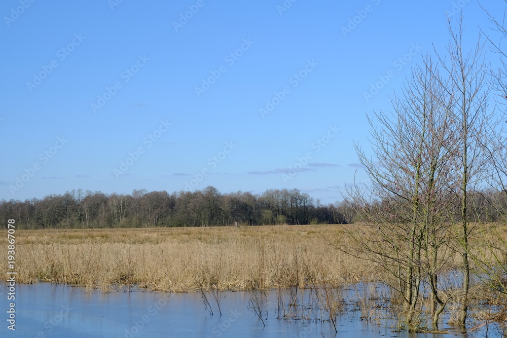 Am Ahrensfelder Damm in Osterholz-Scharmbeck im Winter mit gefrorenen Eisflächen.