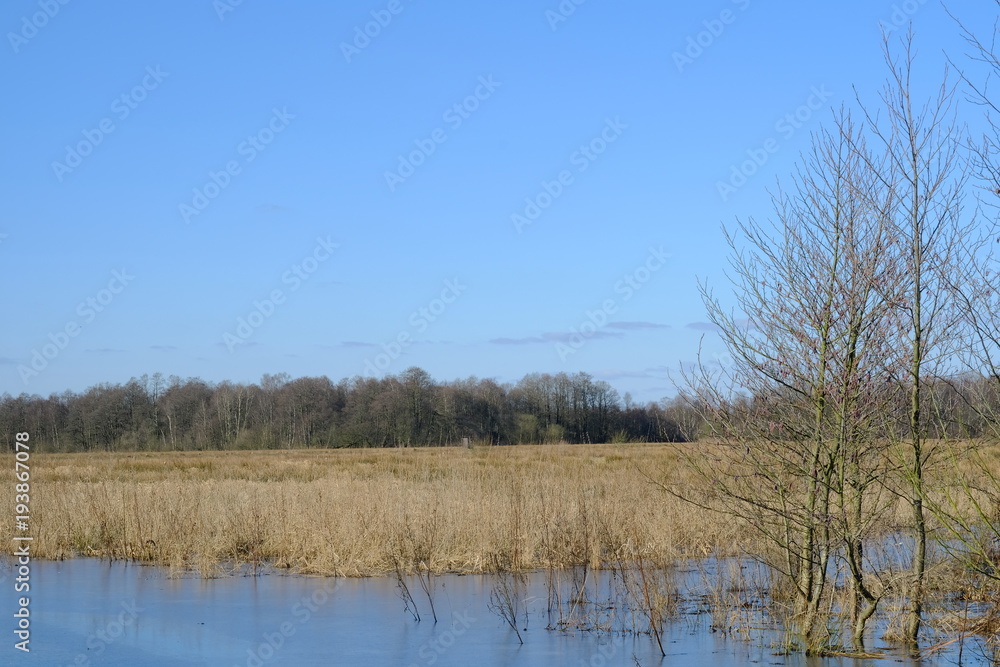 Am Ahrensfelder Damm in Osterholz-Scharmbeck im Winter mit gefrorenen Eisflächen.