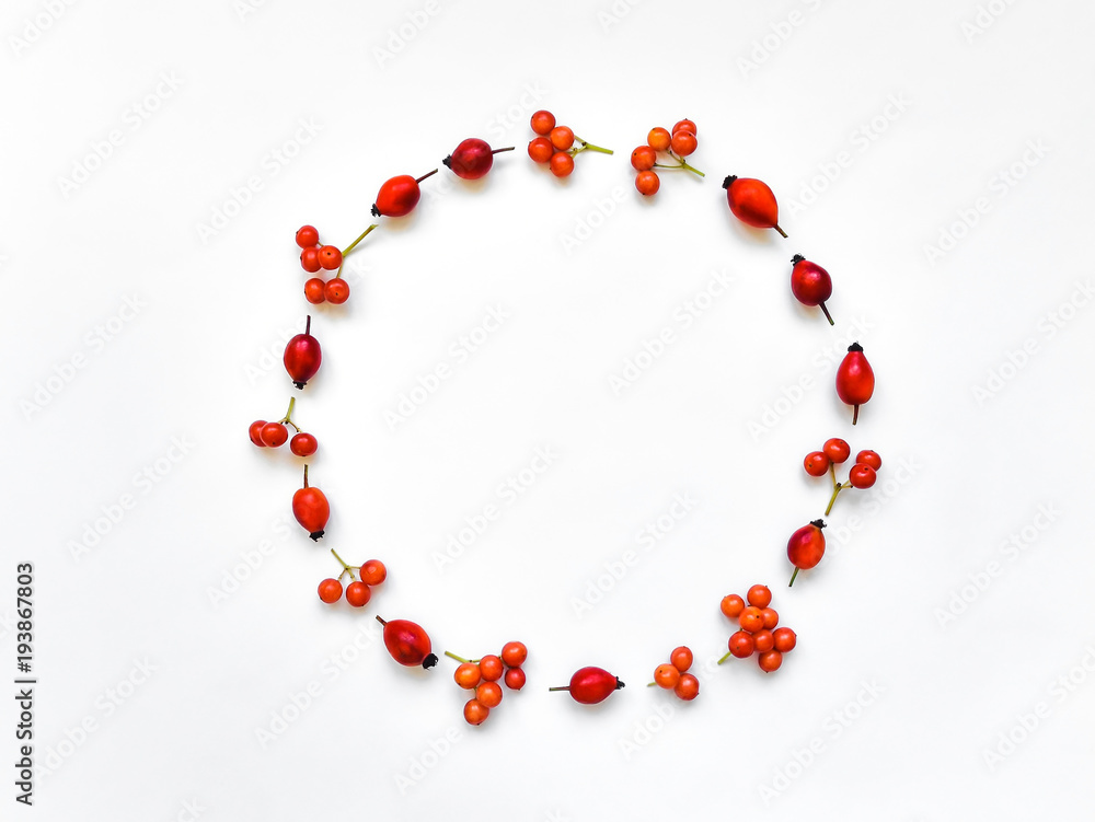 Bright berries of dog rose and rowan berries in round frame on white background. Flat lay, top view Bright berries of dog rose and rowan berries in round frame on white background. Flat lay, top view