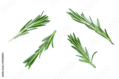 Fresh green rosemary isolated on a white background. Top view. Flat lay