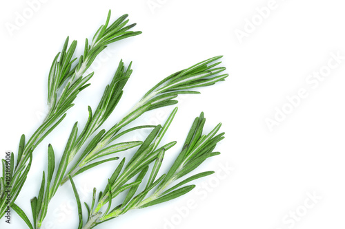 Fresh green rosemary isolated on a white background with copy space for your text. Top view. Flat lay