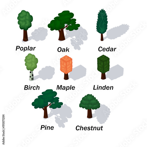 Isometric set of park plants with green trees isolated vector illustration