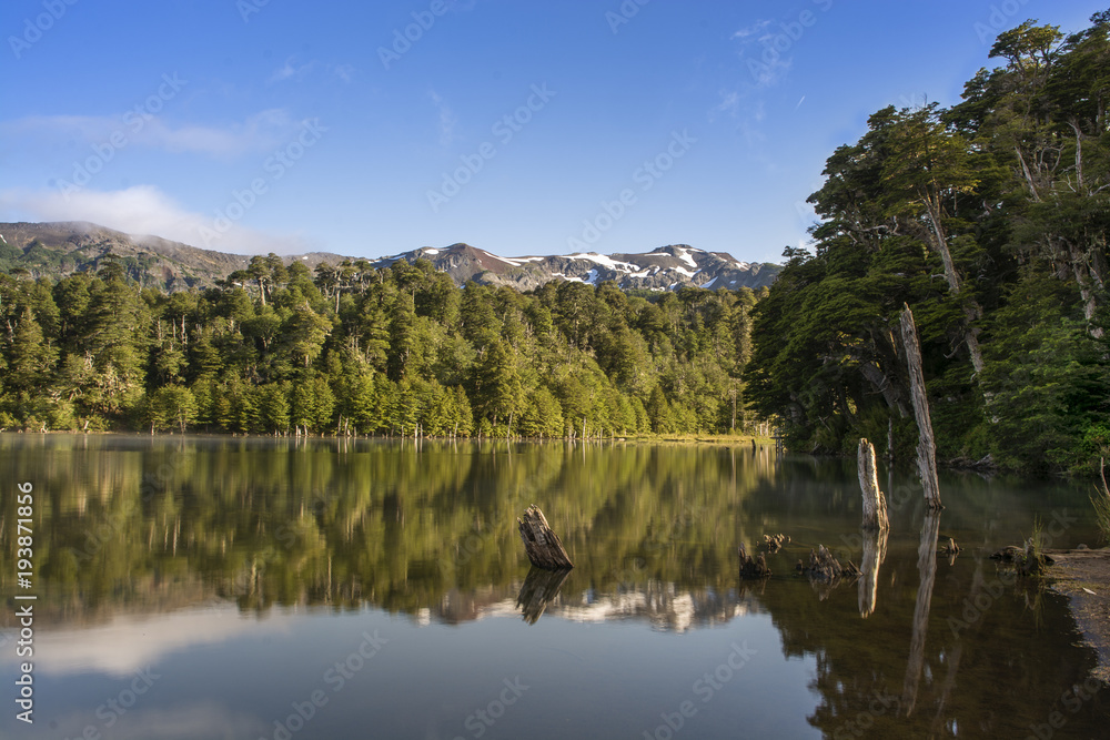 Parque Conguillio