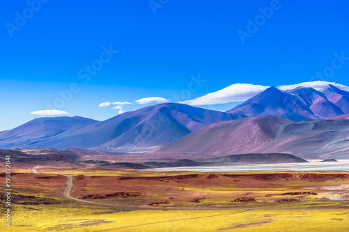 View on lagoon Piedra Rojas in the desert of Atacama in Chile